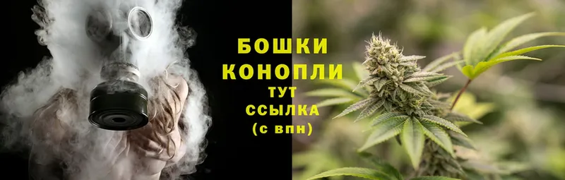 Каннабис OG Kush  Удомля 